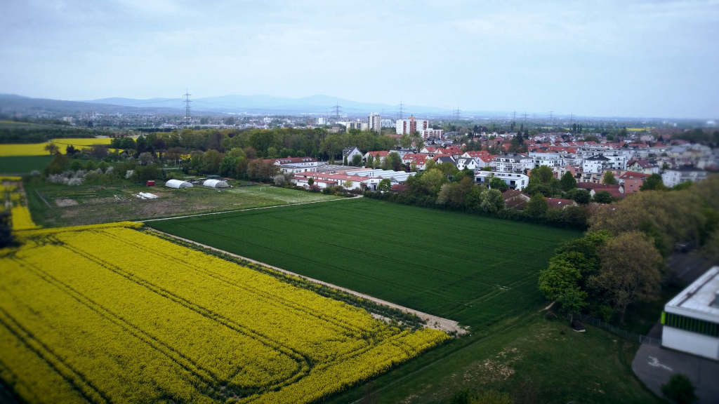 Standort B+C an der Heinrich-Böll-Schule